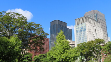 Nice views park on Tokyo - Japan