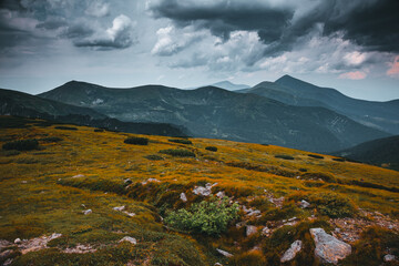 Location Carpathian national park, Ukraine, Europe.