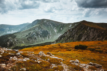 Location Carpathian national park, Ukraine, Europe.