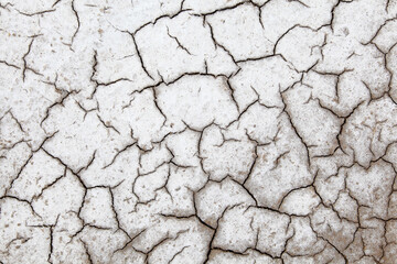 cracked saline-alkali land
