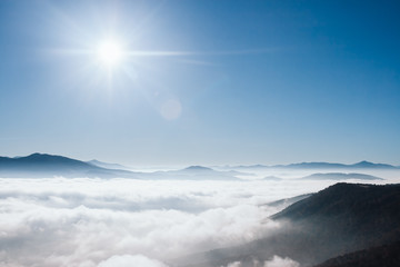 Awesome morning moment in alpine valley.