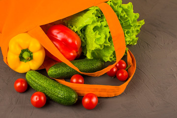 Vegetables products shopping in eco fabric bag on dark background. Eco bag