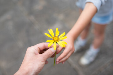 黄色い花を手渡す親子