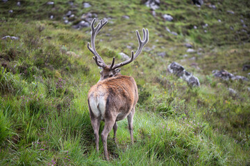 Scotland Uk, France and Spain, a collection