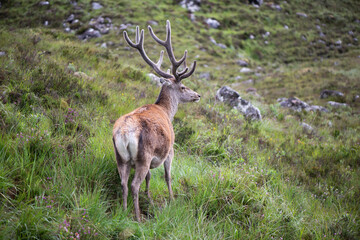 Scotland Uk, France and Spain, a collection