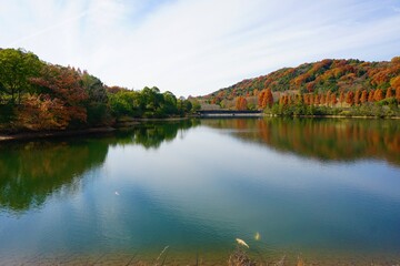 Obraz premium 静かな水面と紅葉