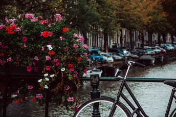 Fototapeta premium Amsterdam canal. Netherlands autumn cityscape. Bicycle and flowers.
