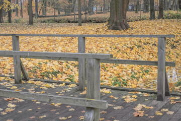 wooden footbridge in the park in autumn, yellow leaves on the ground 