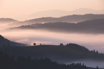 Obraz premium Pienin Mountains, Poland