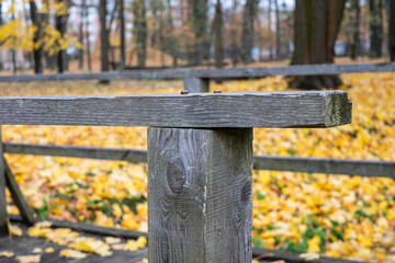 wooden footbridge in the park in autumn, yellow leaves on the ground 