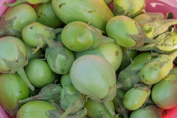 Top-down view of a heap of Brinjal (egg fruit) for sale in a vegetable market. Overhead composition