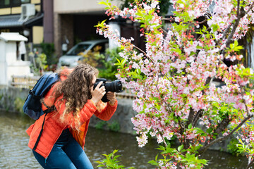 Kyoto residential neighborhood in spring with woman taking picture on Takase river canal in April...