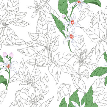 Seamless pattern, background with orange blossom tree branches