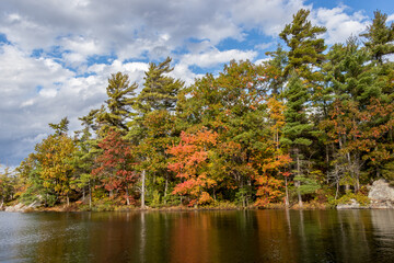Colourful Autumn leaves at Frying Pan Bay, Beausoleil Island, Thankgiving 2019
