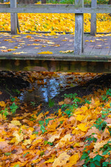 wooden footbridge in the park in autumn, yellow leaves on the ground 