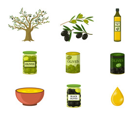Olive oil flat vector illustrations set