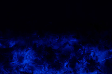 Beautiful abstract purple and blue feathers on the dark and black background and colorful soft black feather texture
