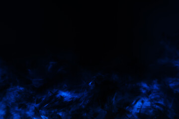 Beautiful abstract purple and blue feathers on the dark and black background and colorful soft black feather texture