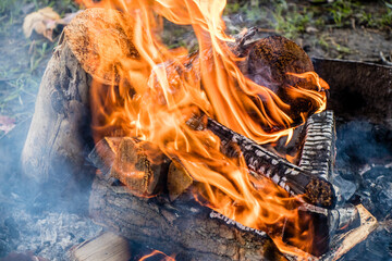 campfire