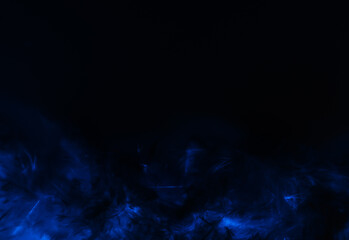 Beautiful abstract purple and blue feathers on the dark and black background and colorful soft black feather texture