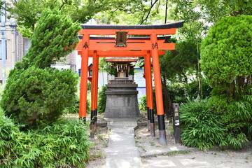 熊野古道 九十九王子 朝日神明社跡 坂口王子 狸坂大明神