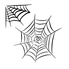 Spider web with a spider in the center and corner web. Hand-drawn. Black and white vector illustration.