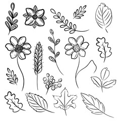 set of flowers,leaves and twigs. Individual elements are isolated on white background.17 items are hand-drawn.Sketch a beautiful Botanical collection of objects