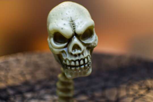 Skull Prop -scary picture for Halloween!