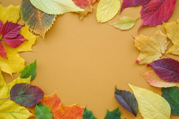 Autumn leaves on a brown background, with place for text
