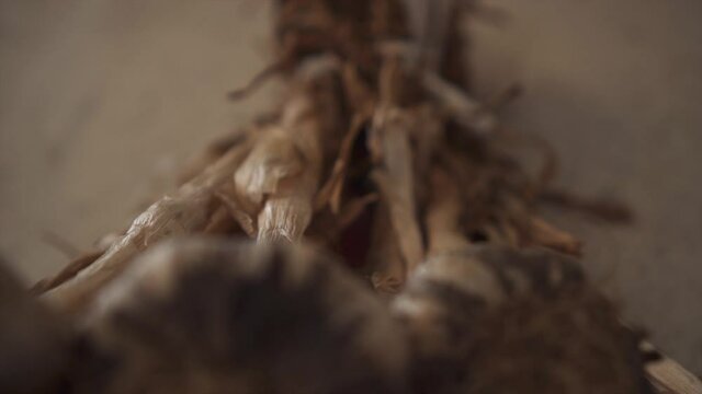 Close up shallow depth shot of raw garlic