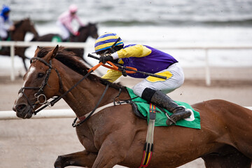 Close up on race horse and jockey galloping at speed on the beach, horse racing on the west coast...
