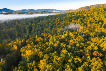 Early Fall Morning