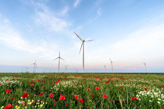 Renewable Energy Windmill Farm in Austria