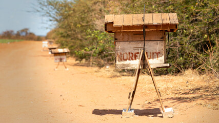 Bee house on a melon farm in brasil