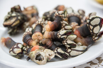 An exotic seafood dish is perceves, or goose barnacles.