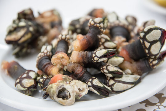 An exotic seafood dish is perceves, or goose barnacles.