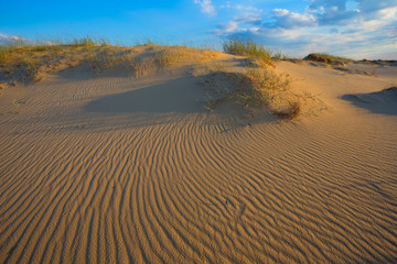 summer sandy desert landscape under a cloudy sky at the evening
