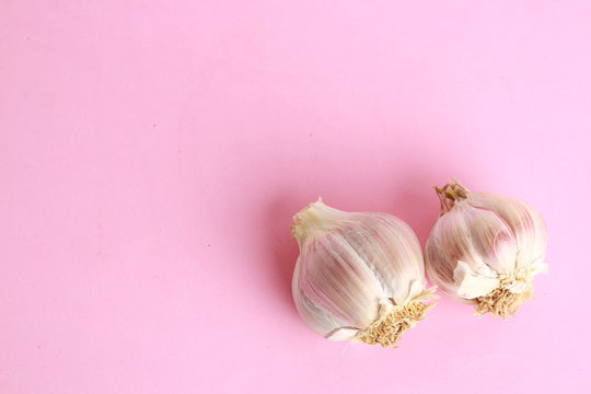 head of garlic in colorful background