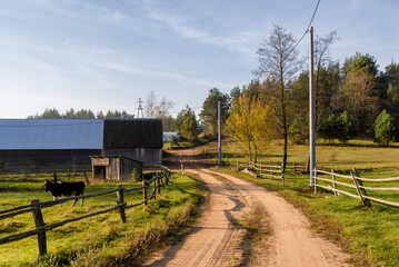 Krajobraz wiejski Podlasia, architektura drewniana, Sokołda, Podlasie, Polska © podlaski49