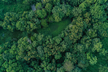 Aerial view of farmland/riice field in Thailand