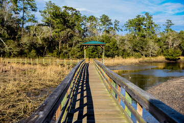 wooden bridge in the forest