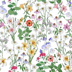 Floral seamless pattern. Wildflowers Flower summer background
