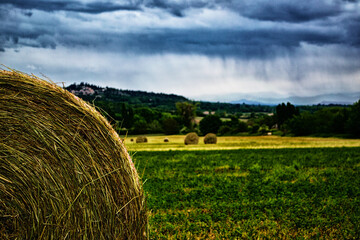Photo prise dans le luberon au printemps 2019