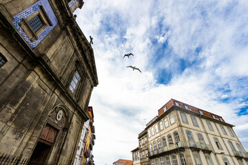Baroque cityscape sky with birds