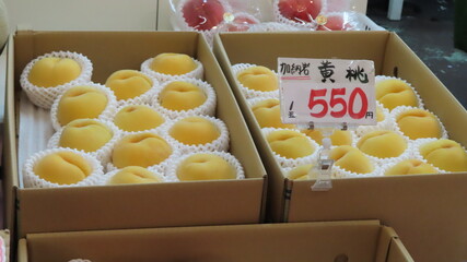 Fruit of Japan
