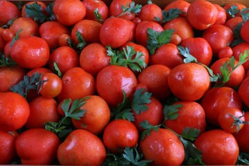 Closeup of shiny red tomatoes