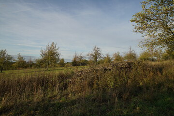 Obraz premium Landschaft Ochsenfurter Gau Nähe Gnodstadt