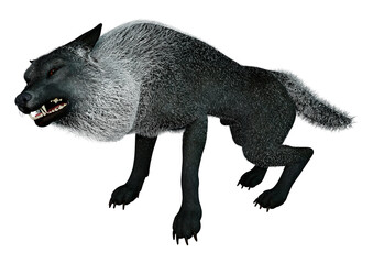 3D Rendering Black Wolf on White