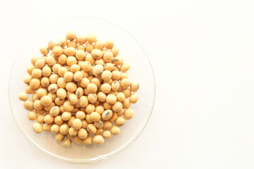 variety of bean with healthy concept