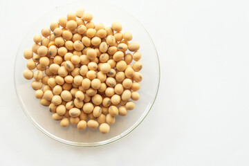soybean with healthy concept